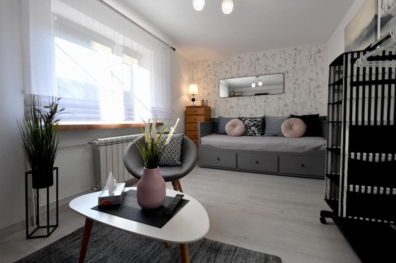 Apartament Spytkowice - Energylandia Krakow Oswiecim Wadowice מראה חיצוני תמונה