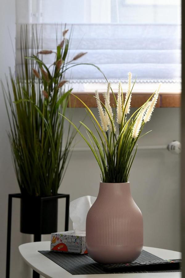 Apartament Spytkowice - Energylandia Krakow Oswiecim Wadowice מראה חיצוני תמונה