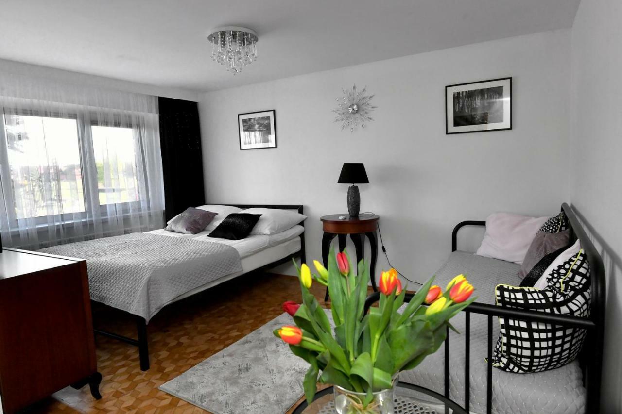 Apartament Spytkowice - Energylandia Krakow Oswiecim Wadowice מראה חיצוני תמונה